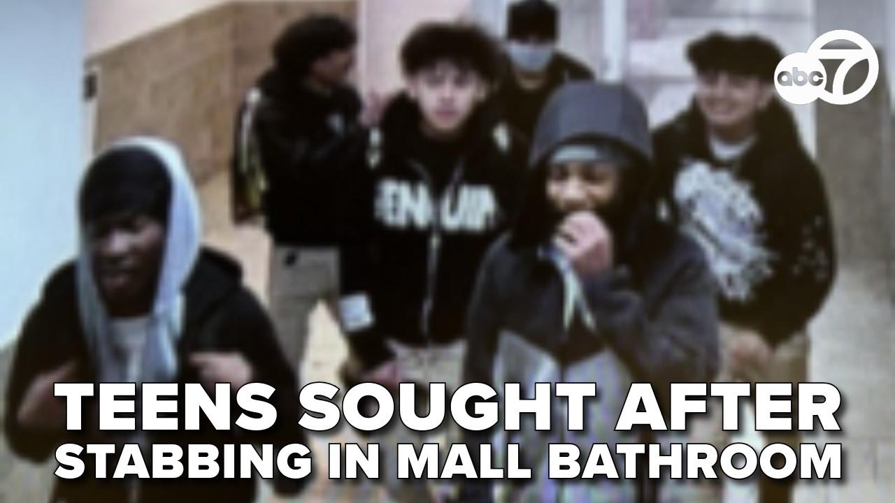 Man stabbed by group of 7 teens in Wheaton Mall restroom; $10K reward offered