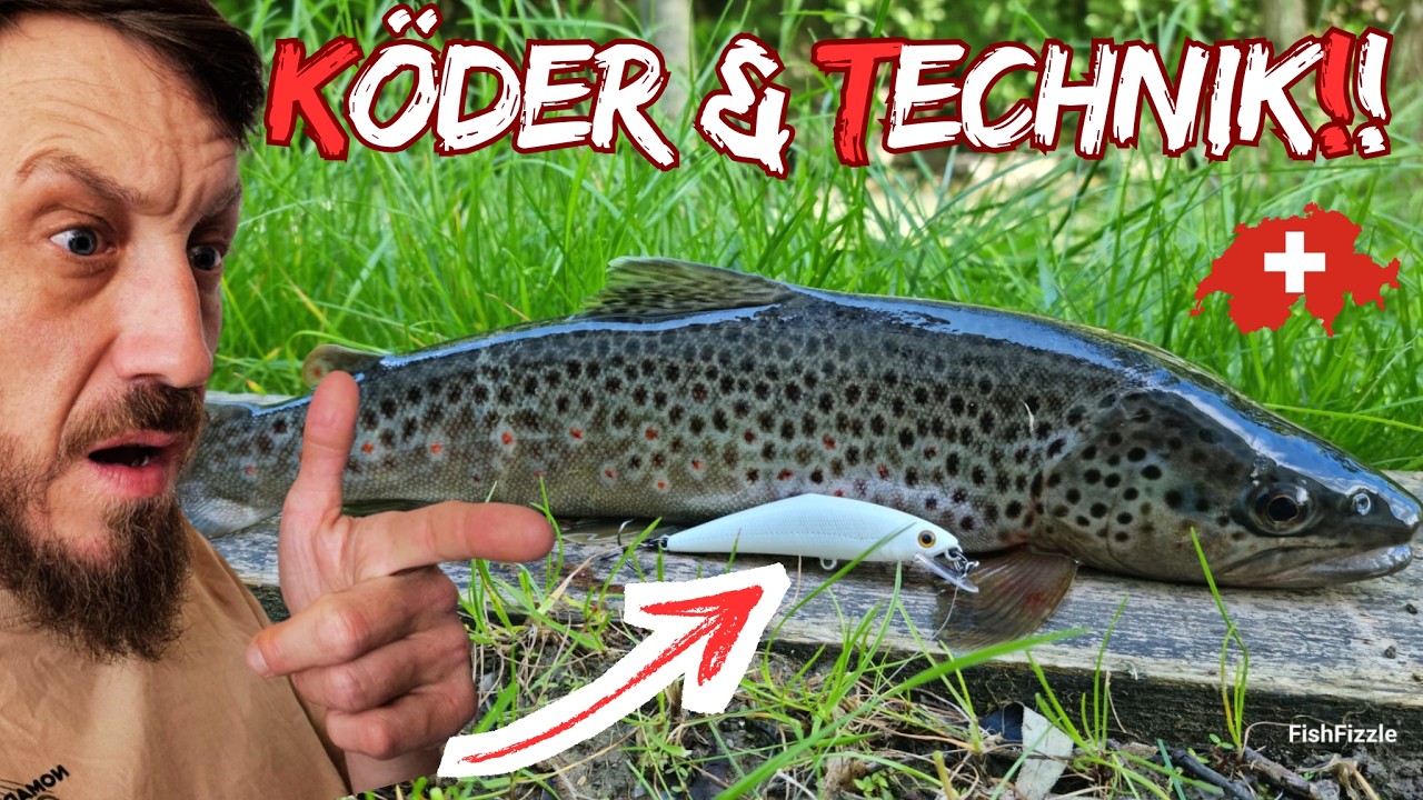 Pirsch auf einzigartige Salmoniden in kleinem Dorfbach! | FishFizzle
