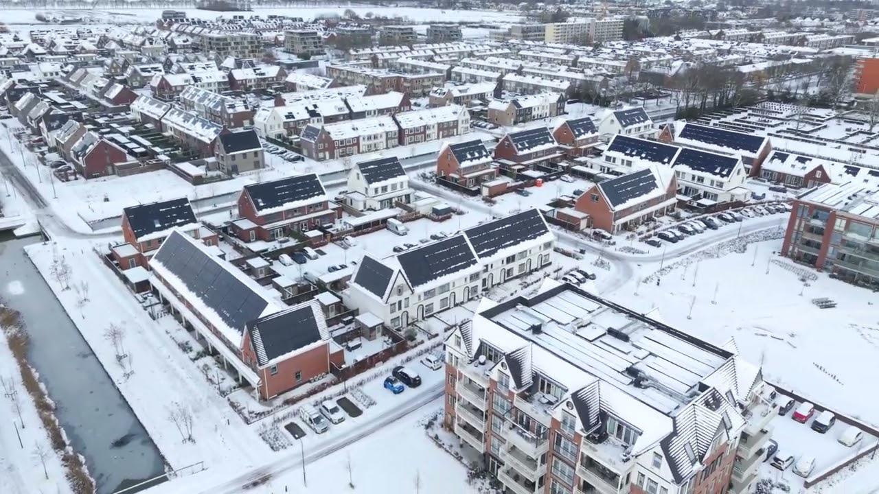 Kwartshove in de sneeuw [03-01-2026]