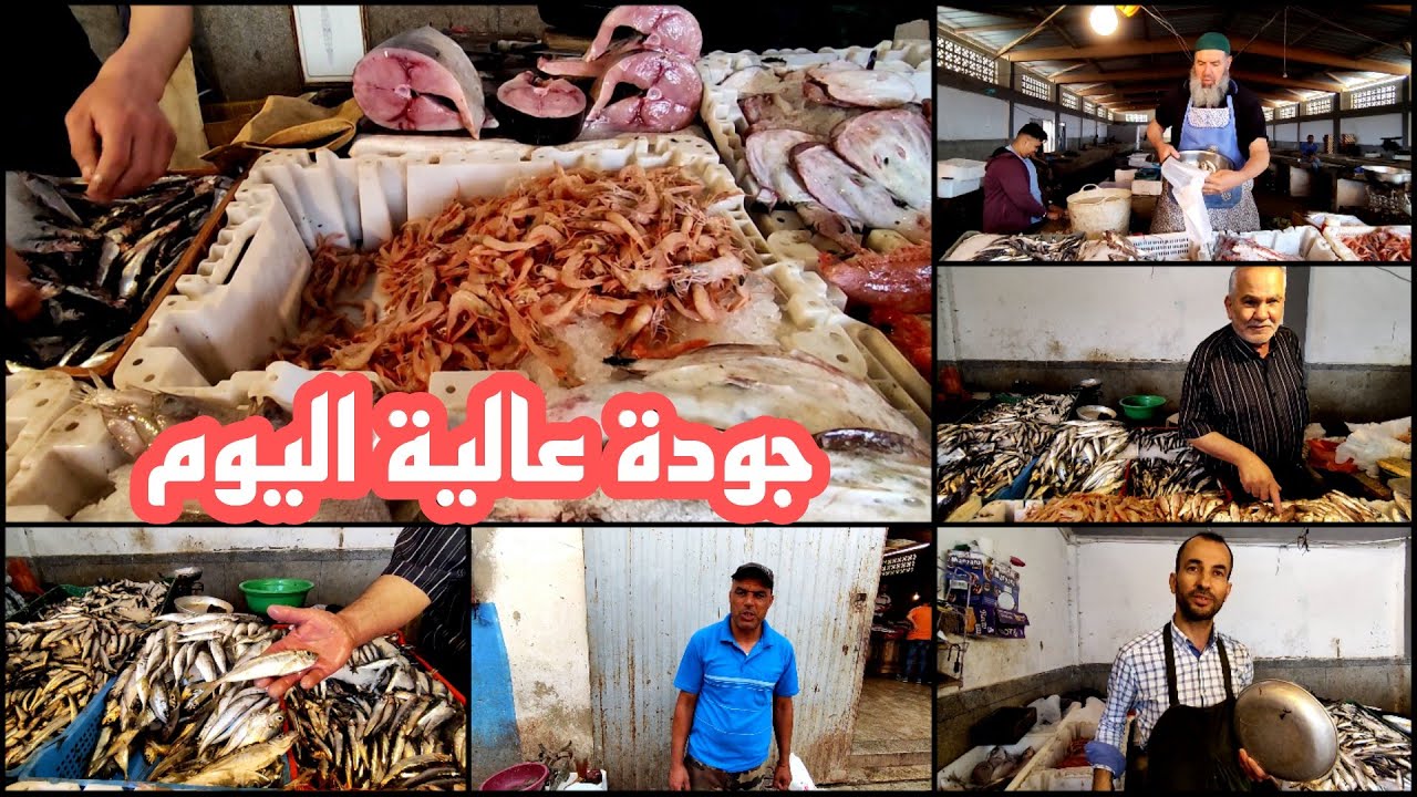 أثمنة و أنواع الأسماك اليوم في #أزغنغان مع أرقام هواتف التجار