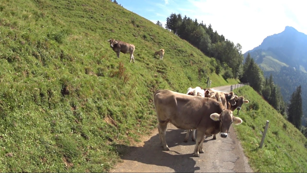 Ebike - Rundfahrt über die Rigi