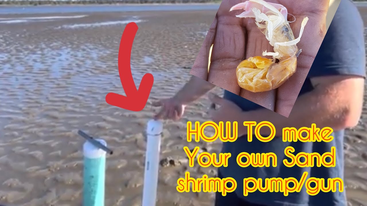HOW TO make a Sand Shrimp pump CHEAP & EASY!