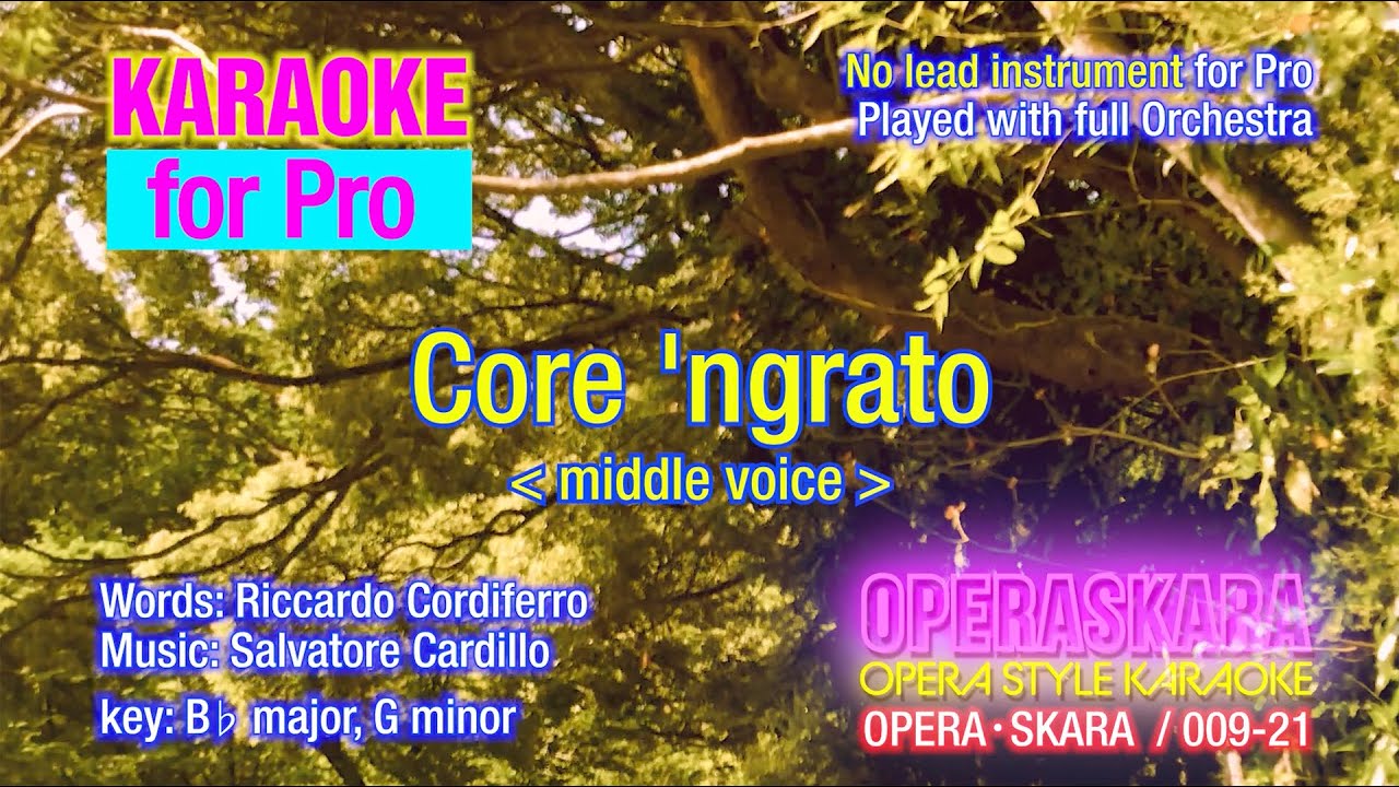 Core`n Grato - Karaoke for Middle voice, Full Orchestra for Pro (without lead instrument)