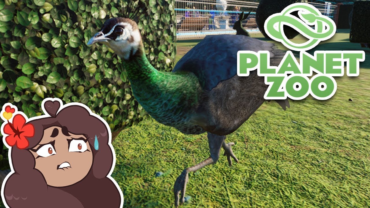 Драматическая судьба животного: ПОБЕГ!! 🦒 Planet Zoo BETA • #5