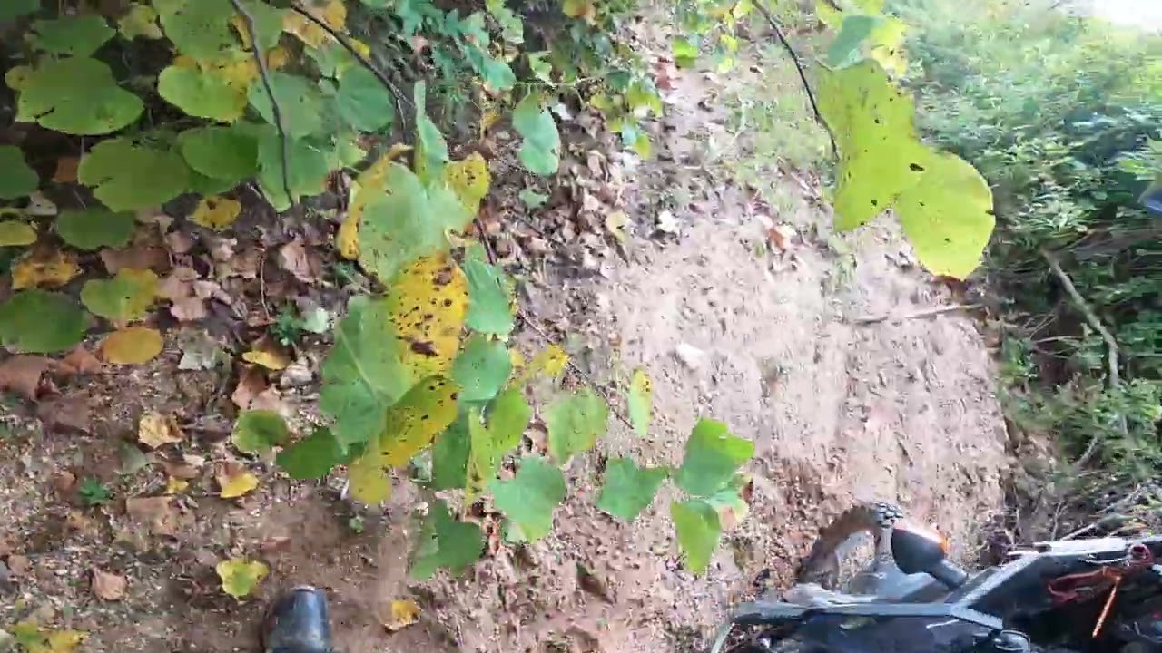 2023 Adventure Palooza - South East Extreme Route - Illinois Riders