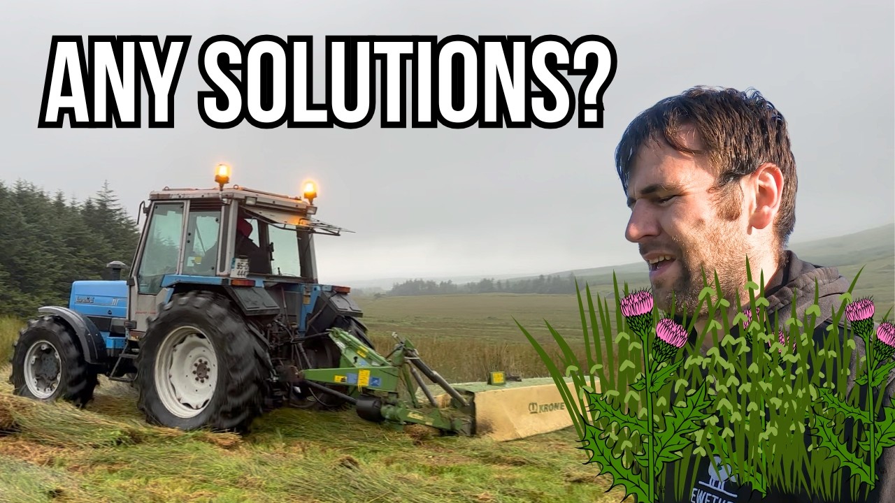 WEED CONTROL IN ORGANIC FARMING - NOT SIMPLE!