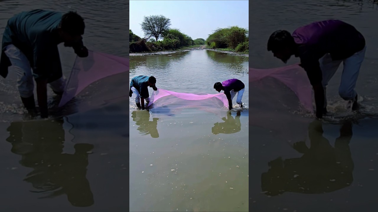 machhardani saal Machhali pakdenge🐠🐟 #fishing #love #youtube #tiktok #india #trending #reels #song