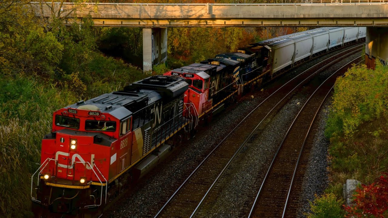 CN, CP,  BCRail, GO, VIA, Amtrak, Canadian Cab, Fire, F59Ph, Train Race At Bayview Junction!