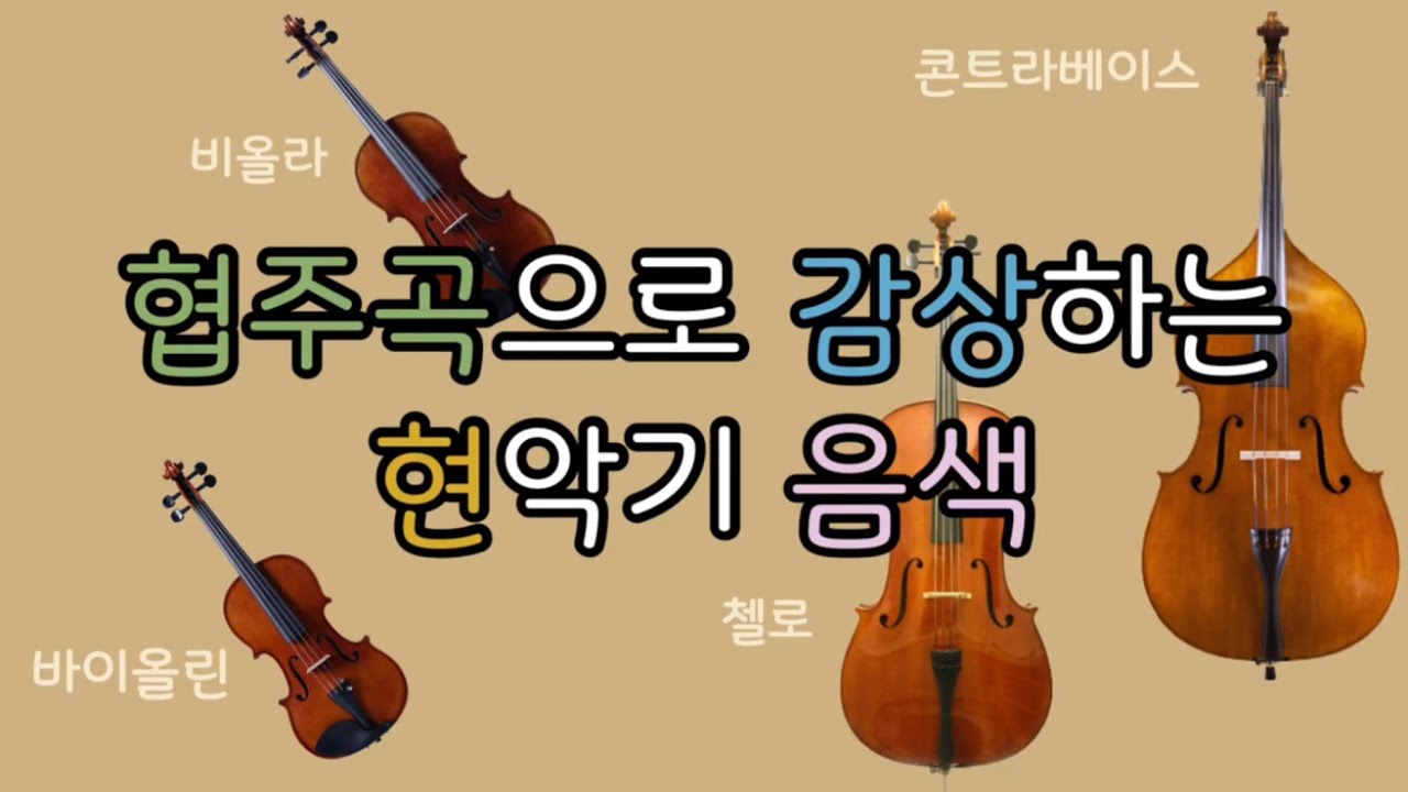 🎧 협주곡으로 감상하는 현악기 음색 | 바이올린(Violin), 비올라(Viola), 첼로(Cello), 콘트라베이스(Contrabass) | 음악 수업 | 오케스트라 악기 수업