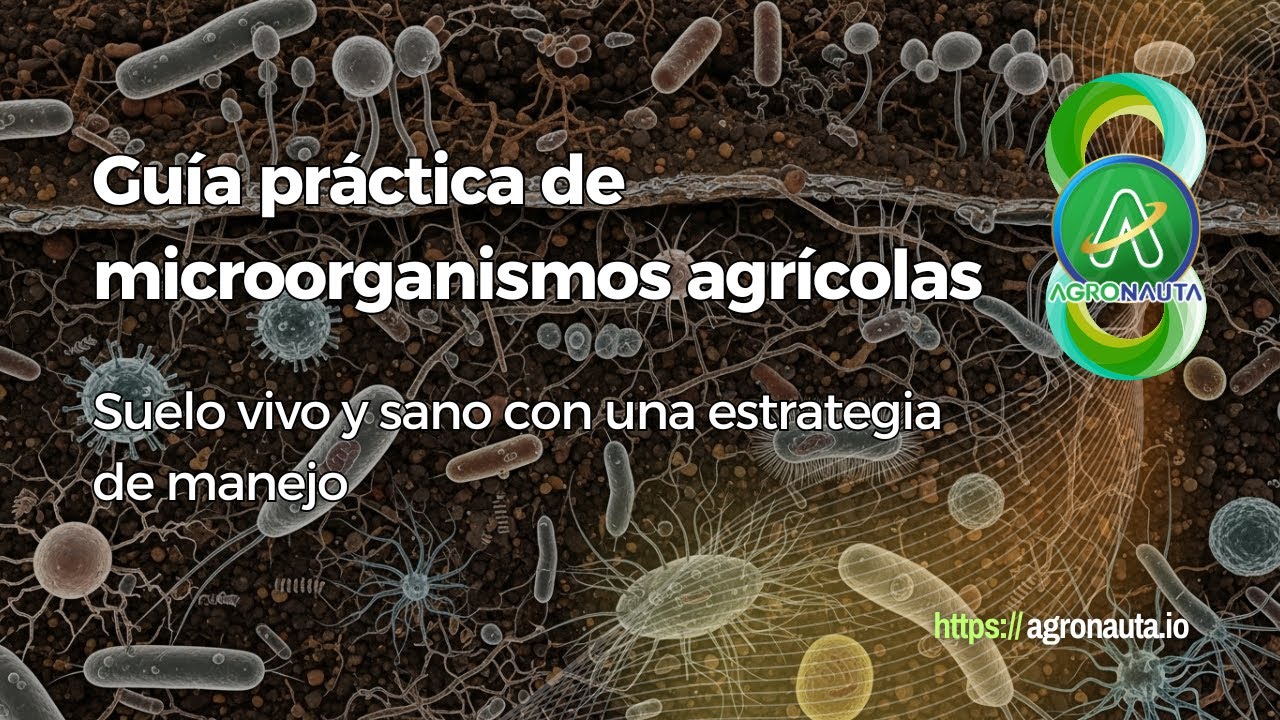 Guía práctica de microorganismos agrícolas: suelo vivo y sano con una estrategia de manejo