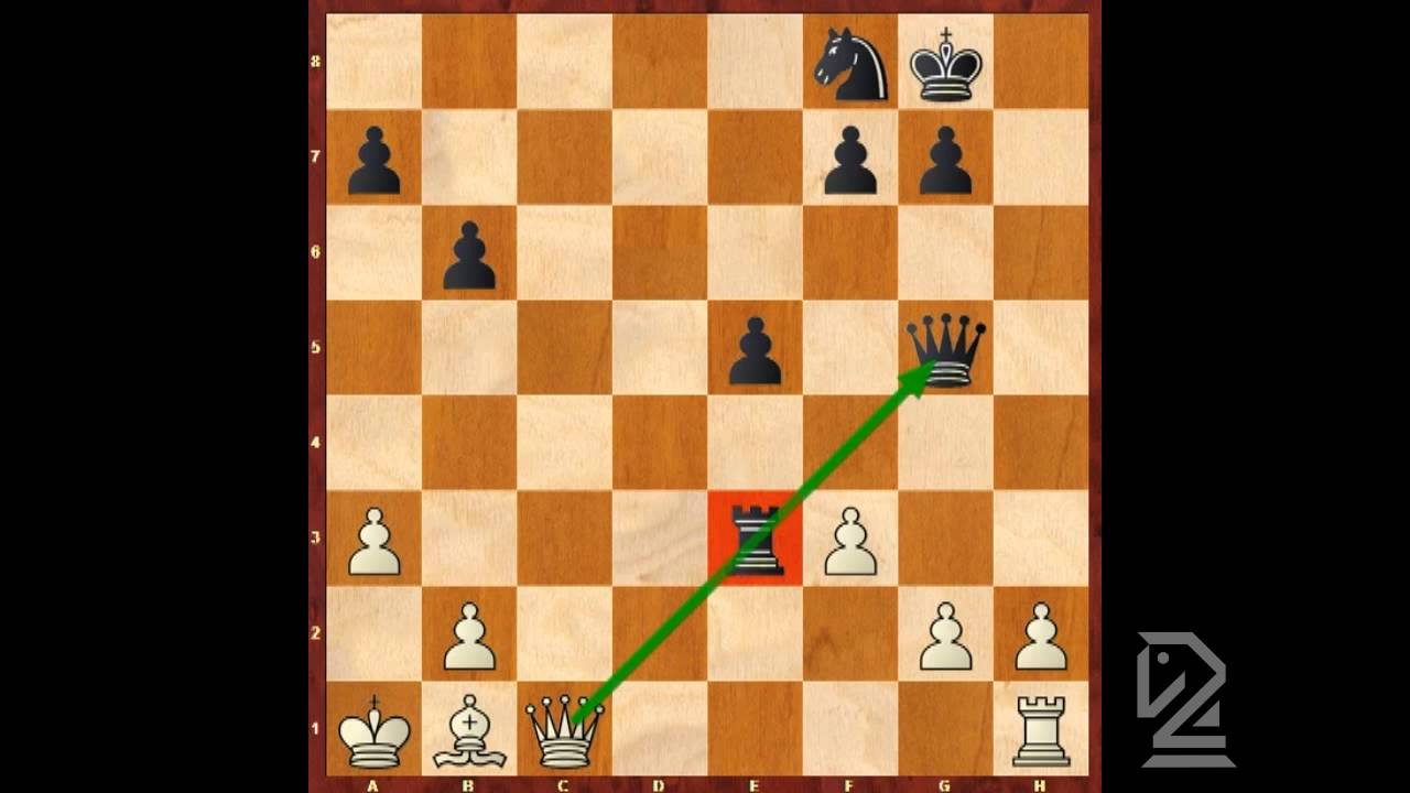 Chess Lesson For Beginners: Half pinning