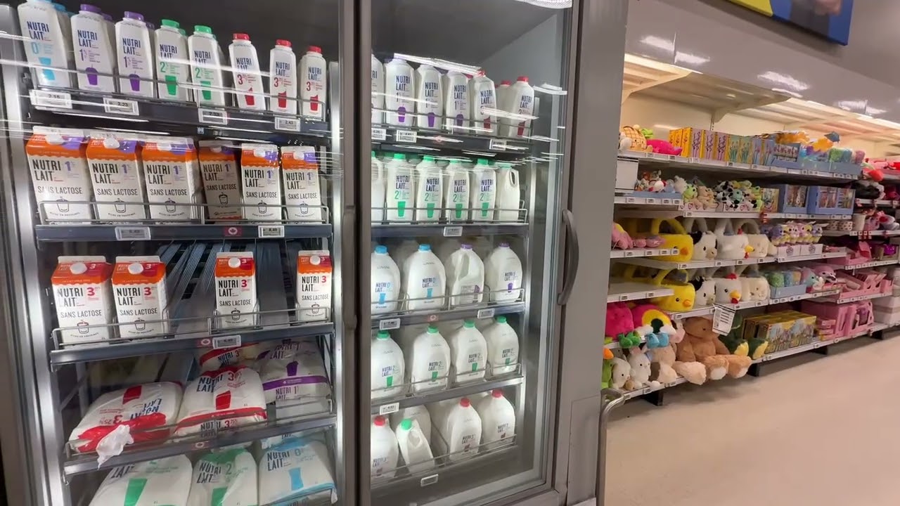 Canada montreal first vlog / grocery/ maxi/ new / from punjab to canada / 
