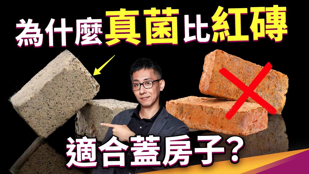 熱？你的「房子」可能蓋錯了！磚頭改用真菌種？磁磚可以幫建築降溫？七種真正能幫你降溫的建築工法 ft.冠軍磁磚 