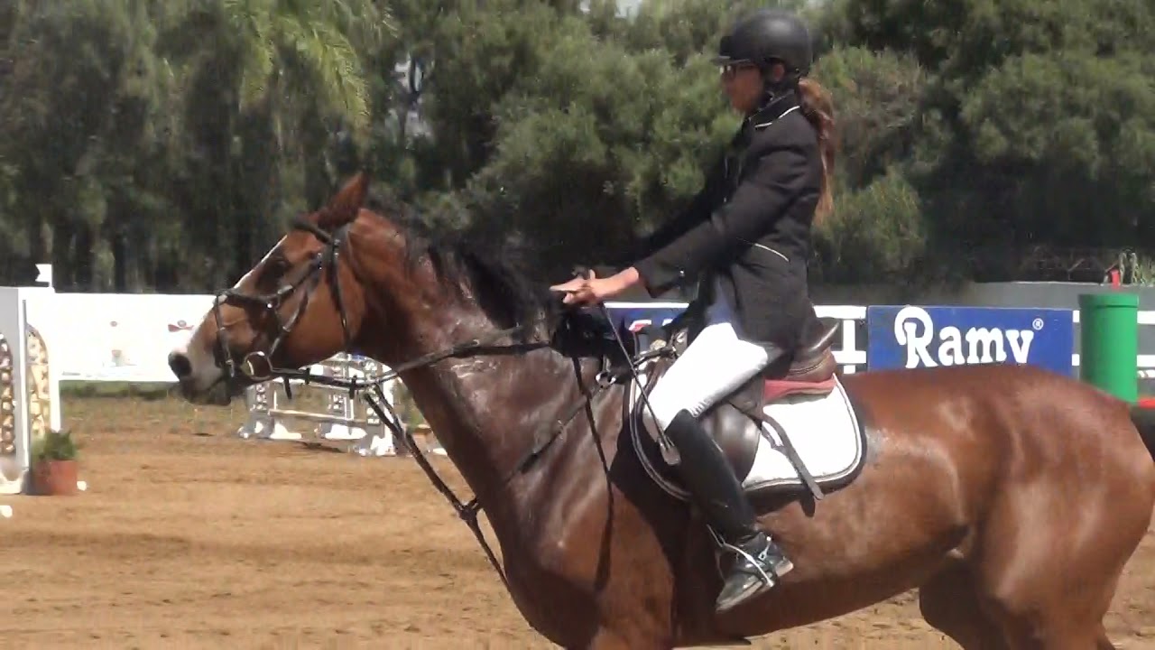 Championnat d'Algérie Junior 2017