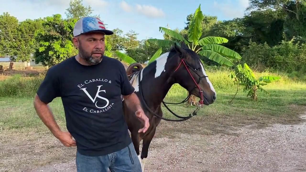 Evaluemos  a #Oreo a 30 días de estar en la finca #elcaballoyelcaballista