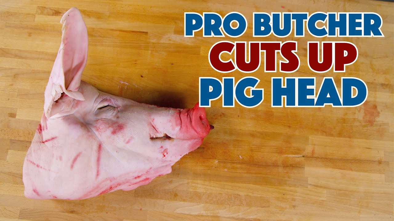 PRO BUTCHER Cuts Up A Pig Head