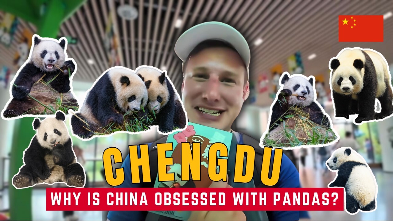 Why China is Obsessed with Pandas: Inside the Chengdu Panda Research Base 🇨🇳
