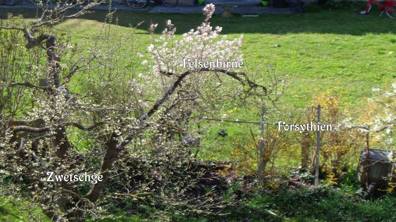 unser Garten