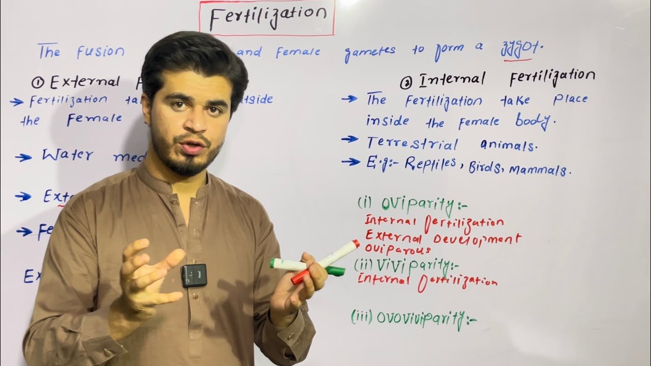 Fertilization | Internal fertilization and External fertilization | by najeeb kakar