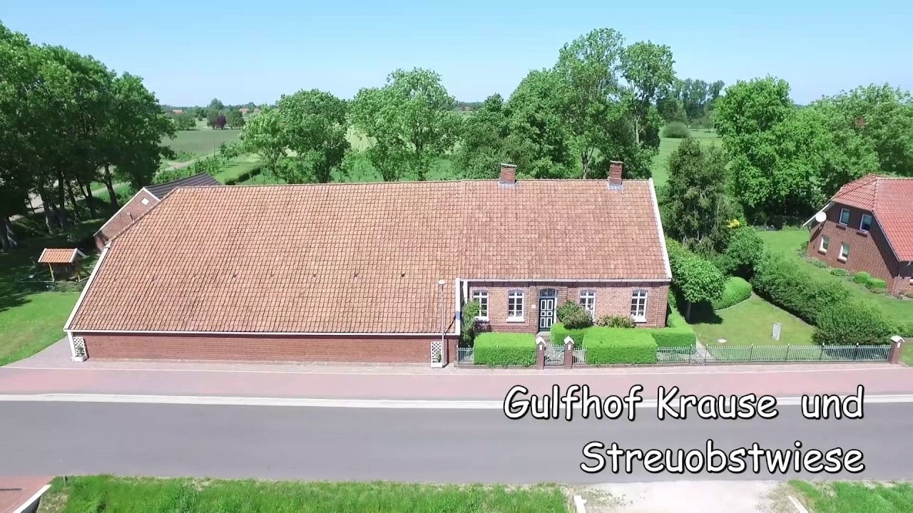 Boekzetelerfehn