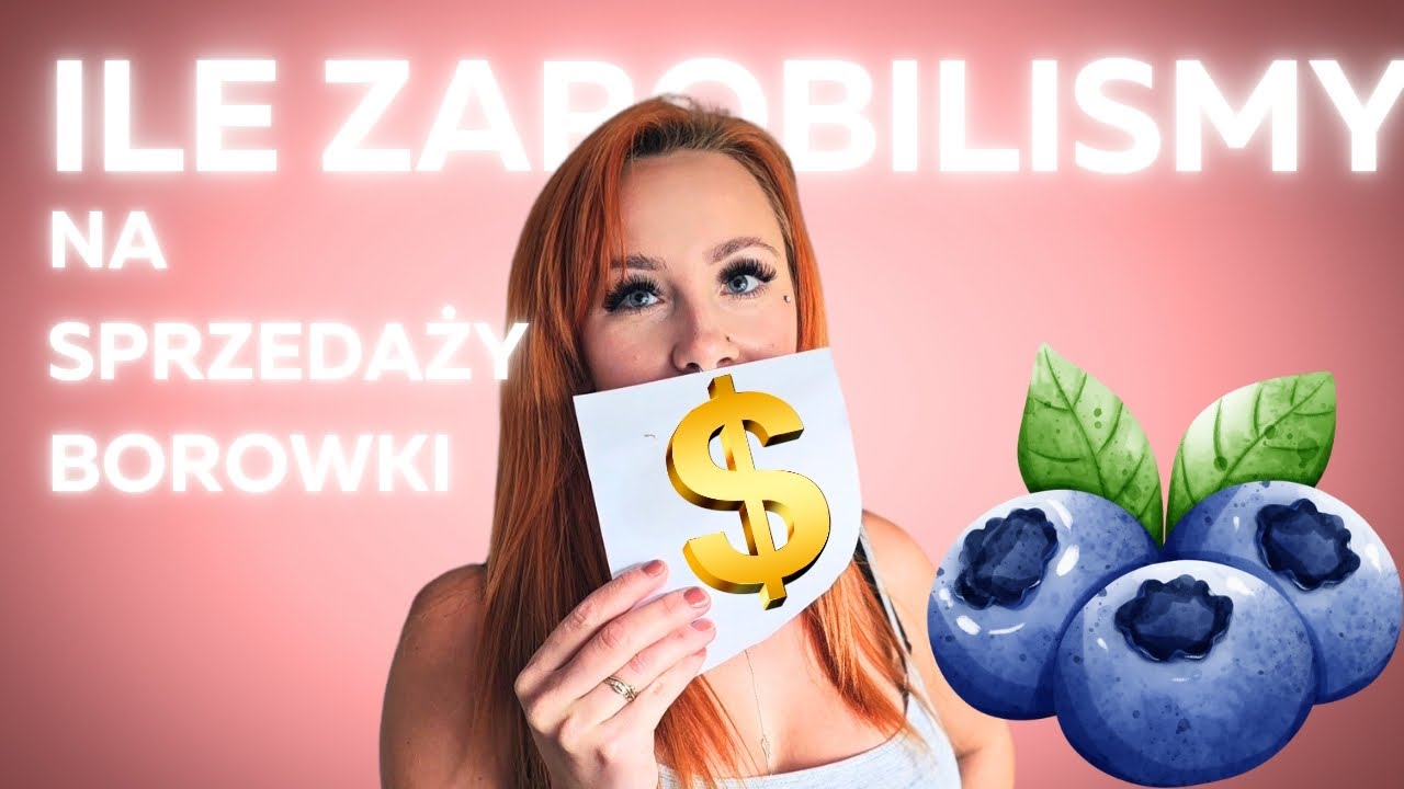 Ile zarobilismy na sprzedaży borowki amerykańskiej ? Bedziemy mieli gosci ! Praca i wiecej pracy
