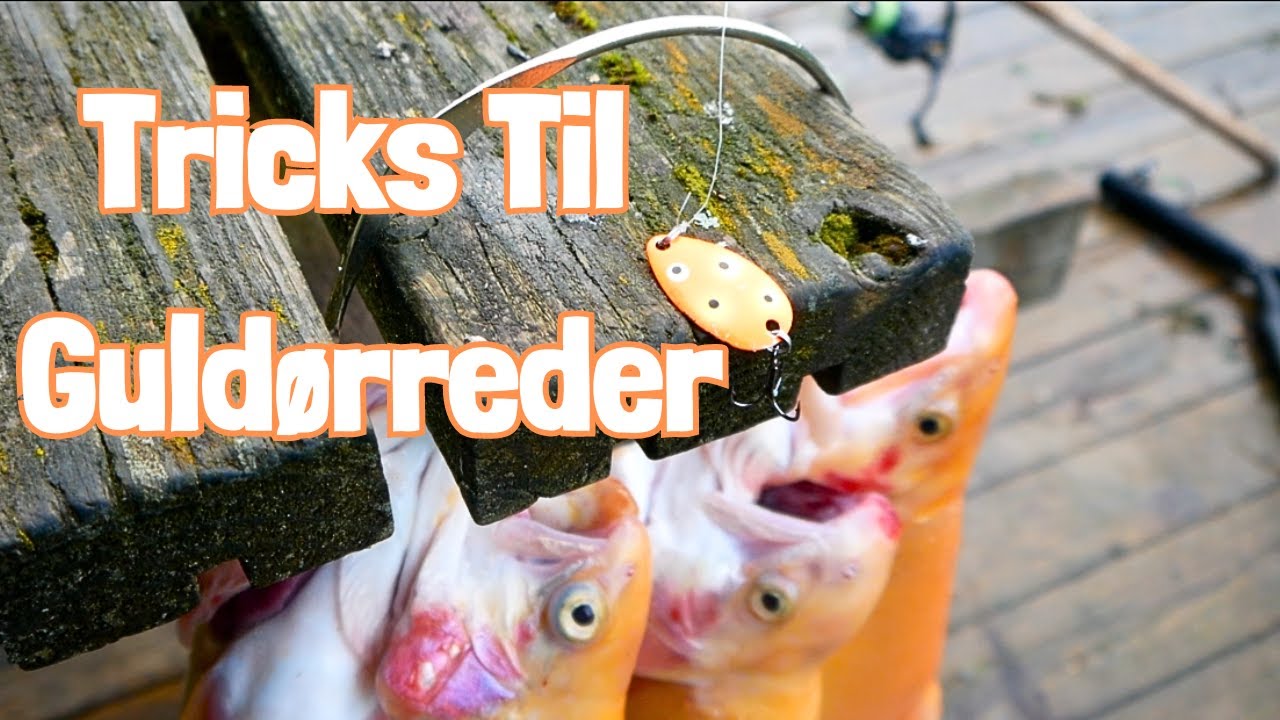 Hvad G&oslash;r Man N&aring;r Guld&oslash;rrederne Er Selektive Og Kun F&oslash;lger Med Ind?