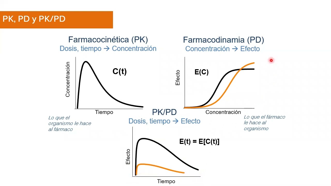 Clase 11 - Farmacodinamia y PK/PD