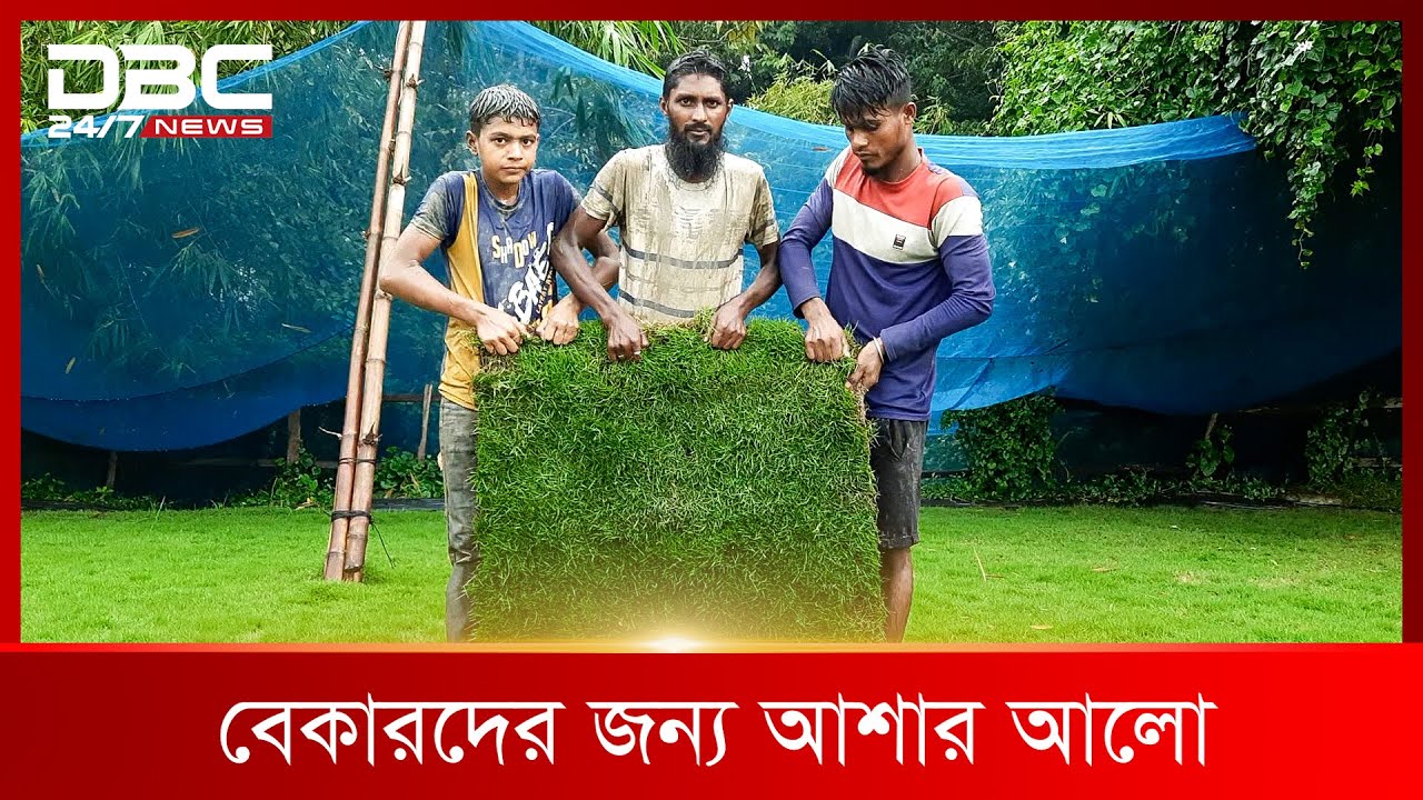 ঘাস চাষে লাখপতি | DBC News Special