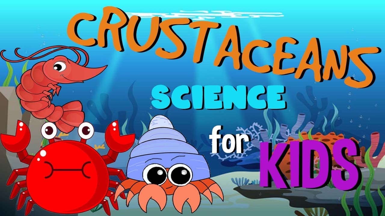 What are Crustaceans | Science for Kids