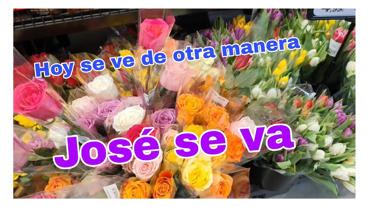 José nos deja solas🍂Hoy se ve de otra manera 🍂Me parece muy caro 💰No lo encuentro 