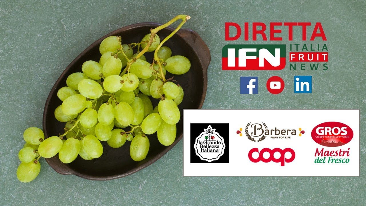 Tempi “d’oro” per l'uva da tavola ma come governare lo sviluppo futuro?