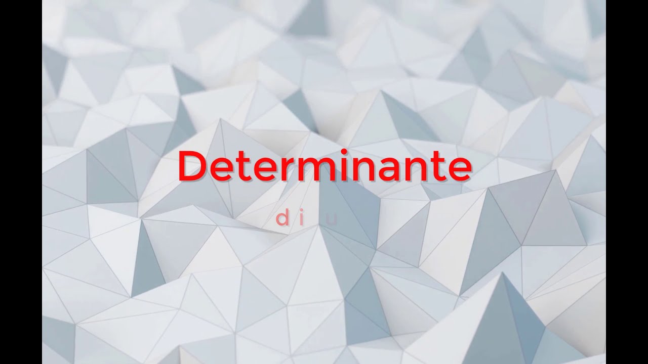 8.5 Determinante di una Matrice