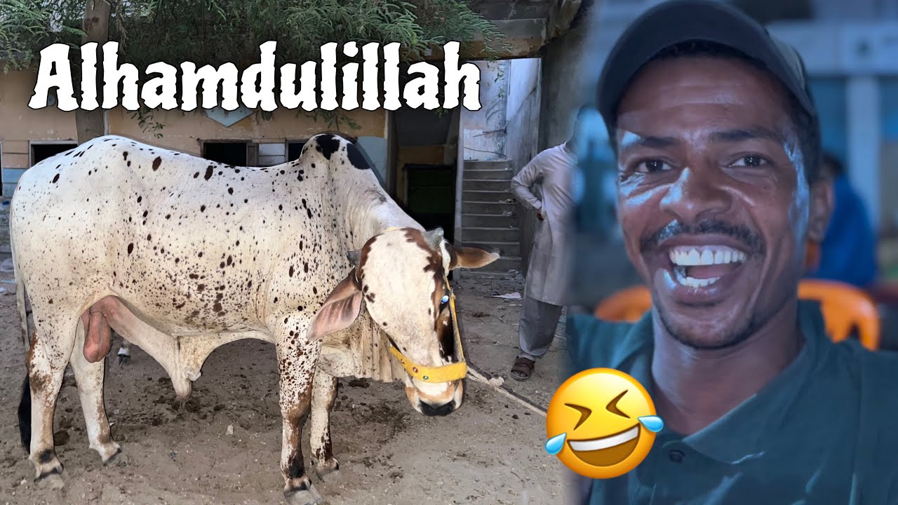 Alhamdulillah Se Janwar Le Liya 😍 || Shashul se meet-up 😂🤣