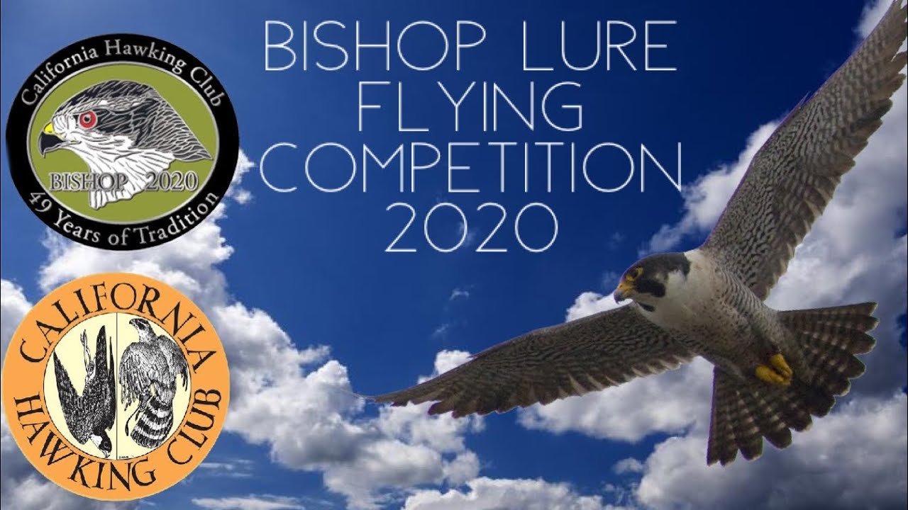 Bishop Lure Flying Competition 2020