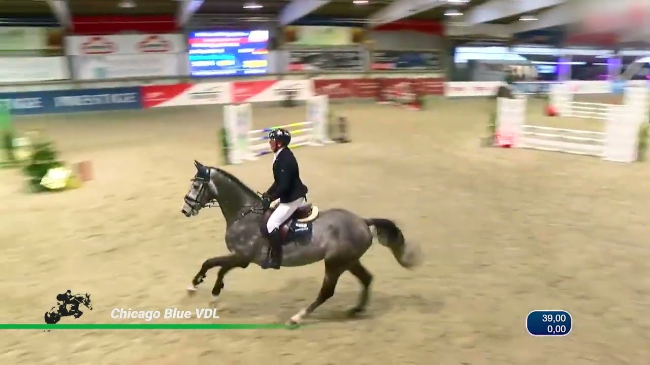 Chicago Blue VDL (Chacco-Blue x Cento)