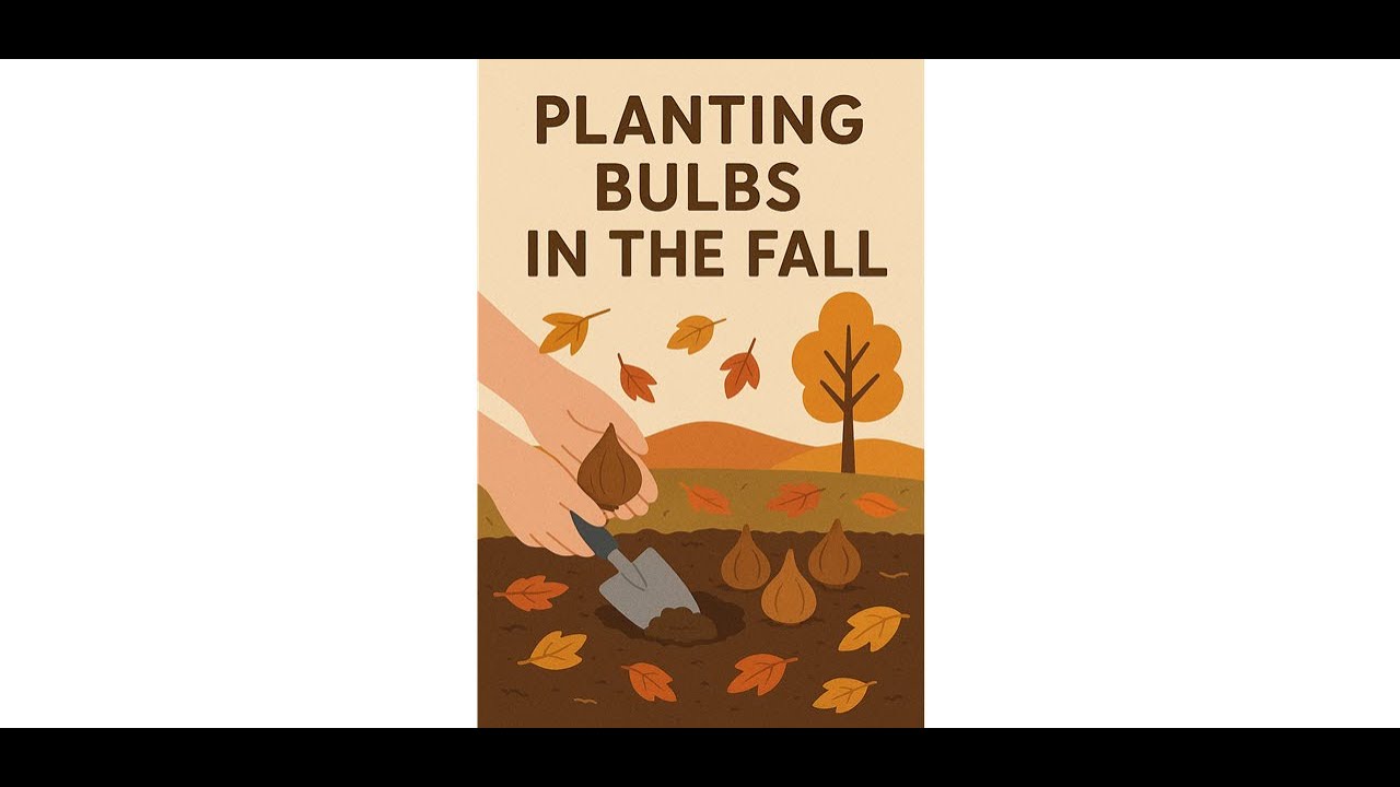 Plant bulbs in the fall!  You'll be rewarded in the spring.