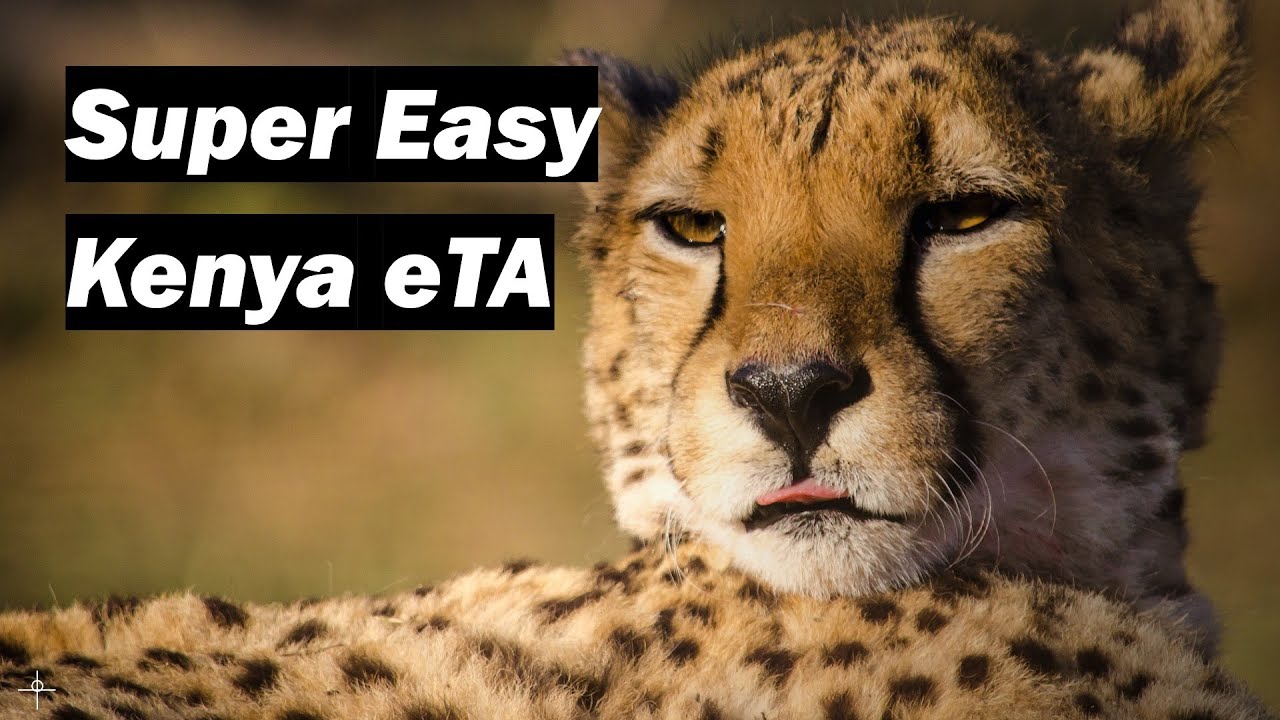 How to complete the Kenya eTA Application