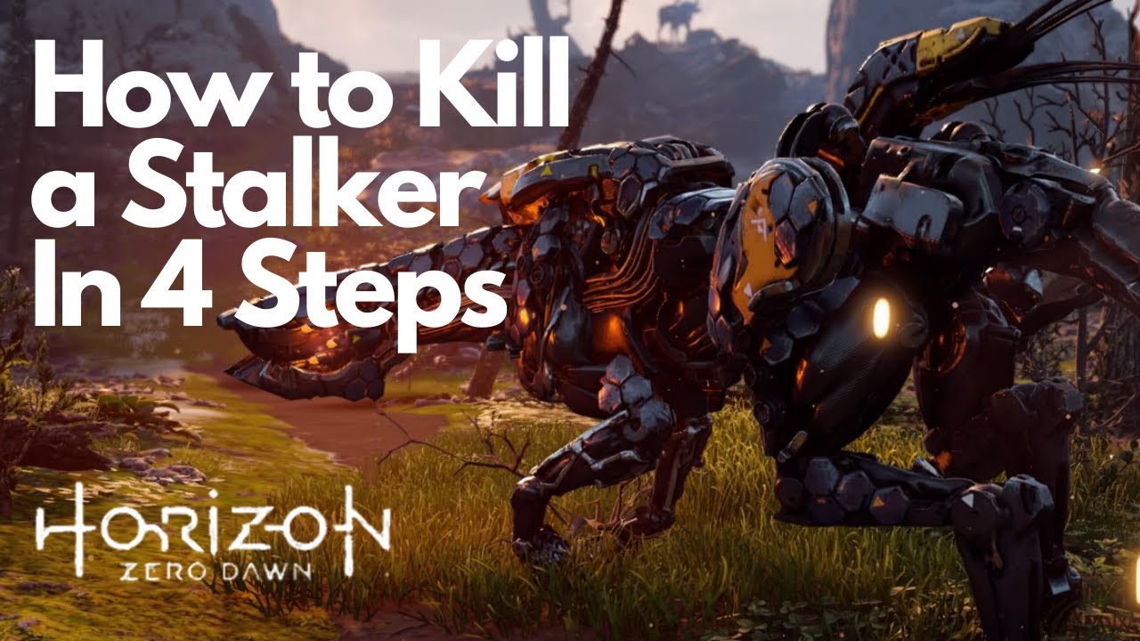 How to kill a Stalker in 4 Easy Steps