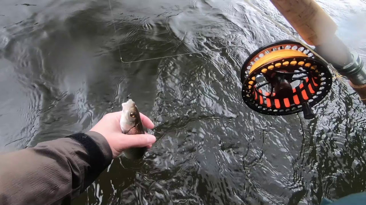 Pêche en mouche noyée
