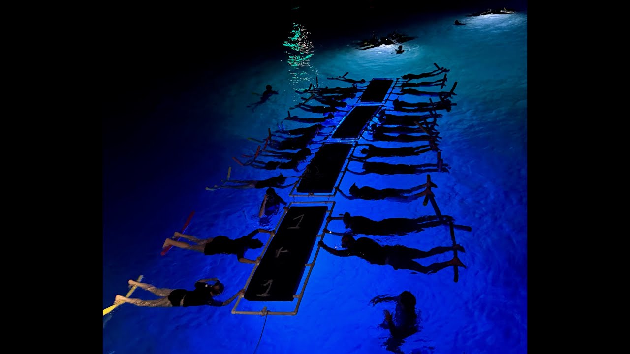 Swimming with giant Manta Rays - Part 2