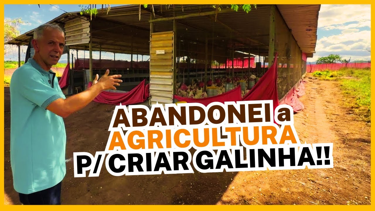 ABANDONEI a AGRICULTURA para PRODUZIR OVOS CAIPIRAS: hoje são 5.500 poedeiras