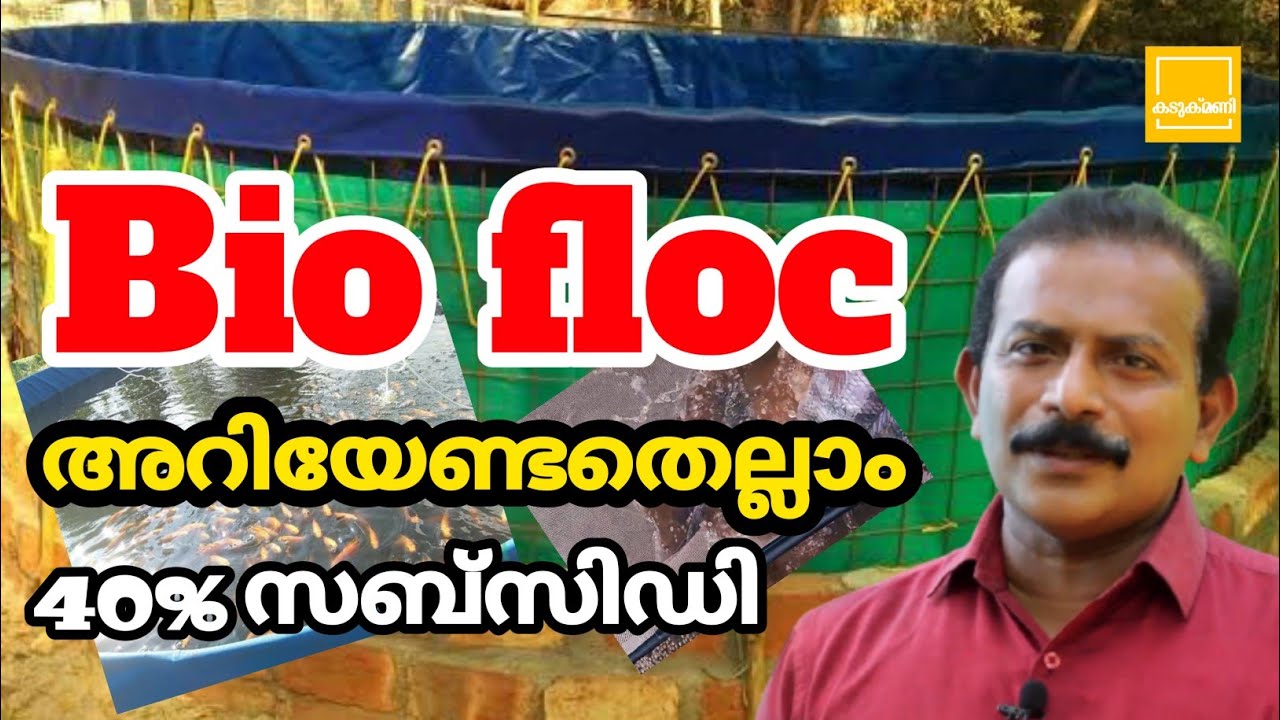 Lets Farm EP-4 | Padutha Kulam malayalam | Bio floc | fish farming കൃഷി വമ്പൻ ലാഭത്തിൽ | Aquaponics