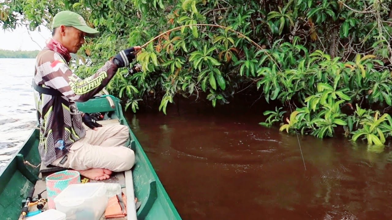 Akibat lama tidak Mancing Udang Galah