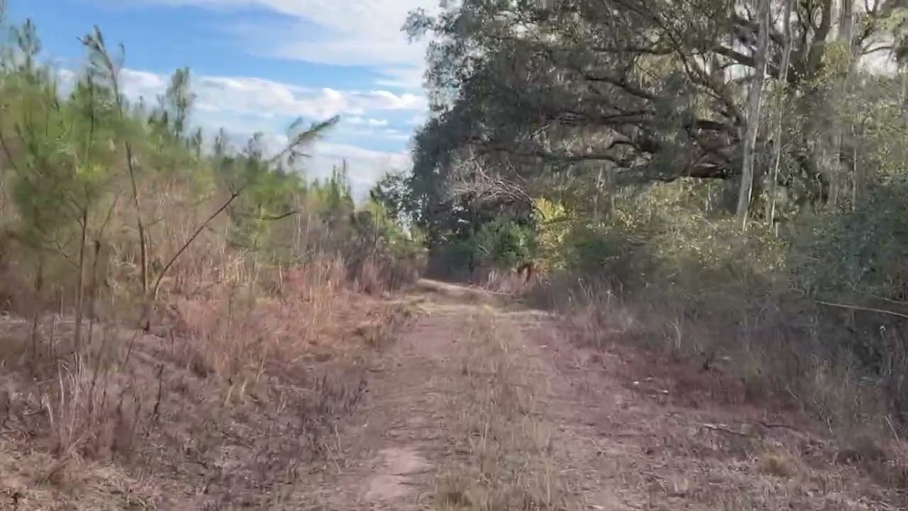 Just a gorgeous day on the trails, riding the can-am  #Florida #winter 