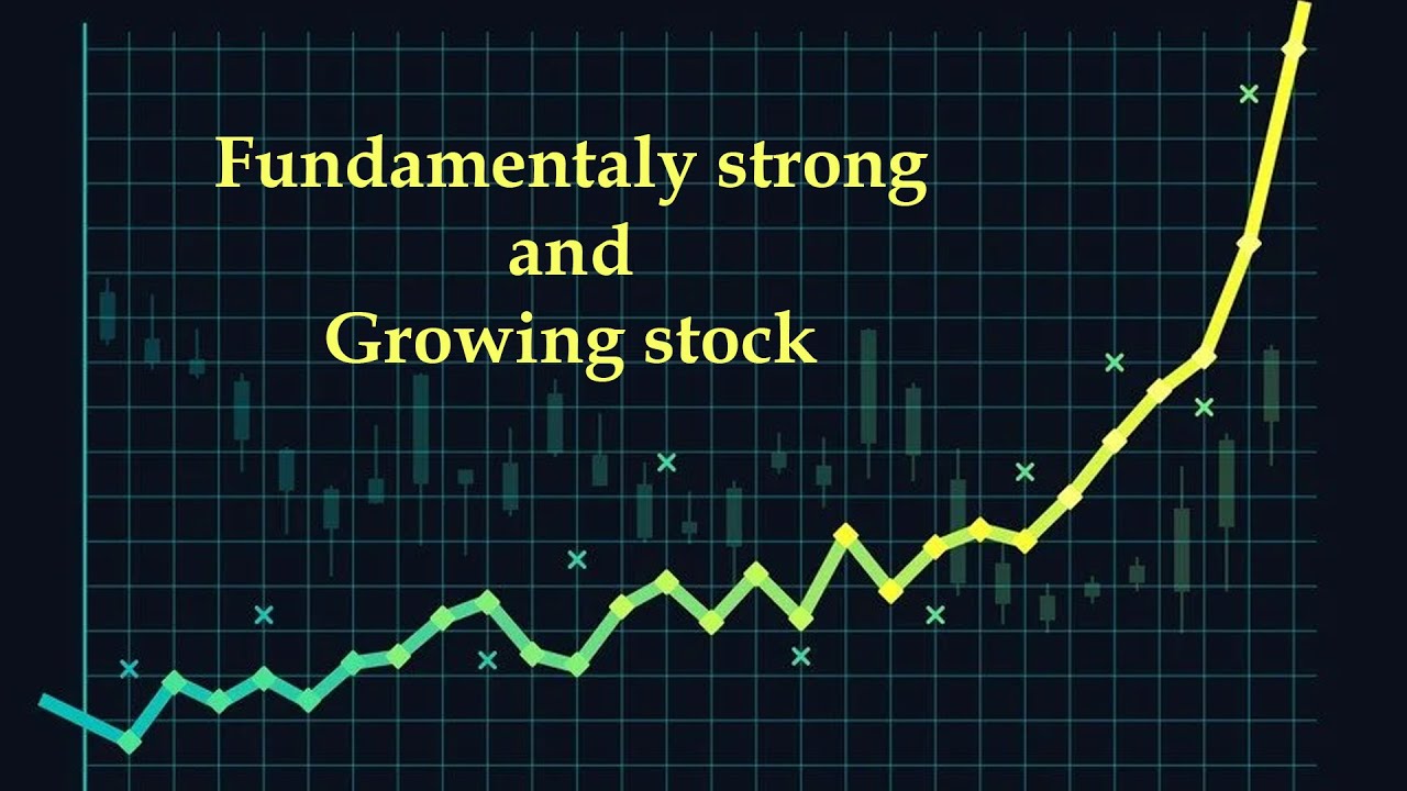 Continuous growing multi-bagger stock