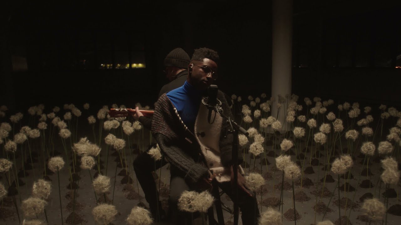 rum&bull;gold - Human (Acoustic)