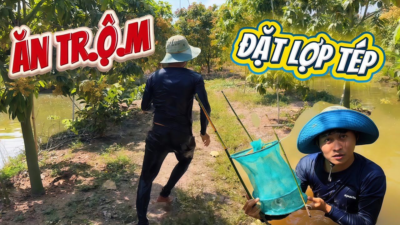 Đặt lợp tép nhưng gặp chuyện không may khi thấy kẻ trộm hớt tay trên | HoàiPhong TV