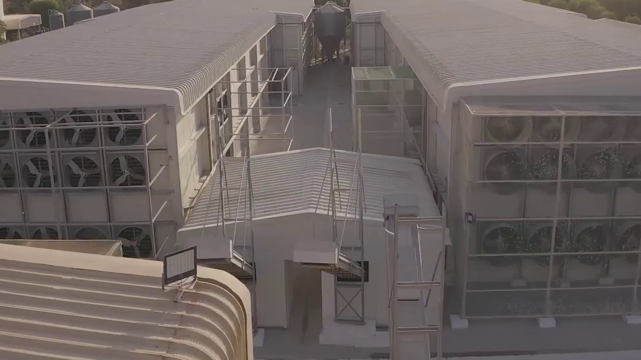 Emirates Poultry Farm    Al Manama Ajman