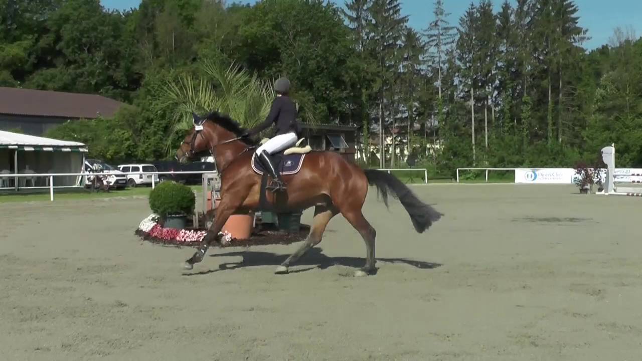 Denise mit Benco, Schönborn 2016