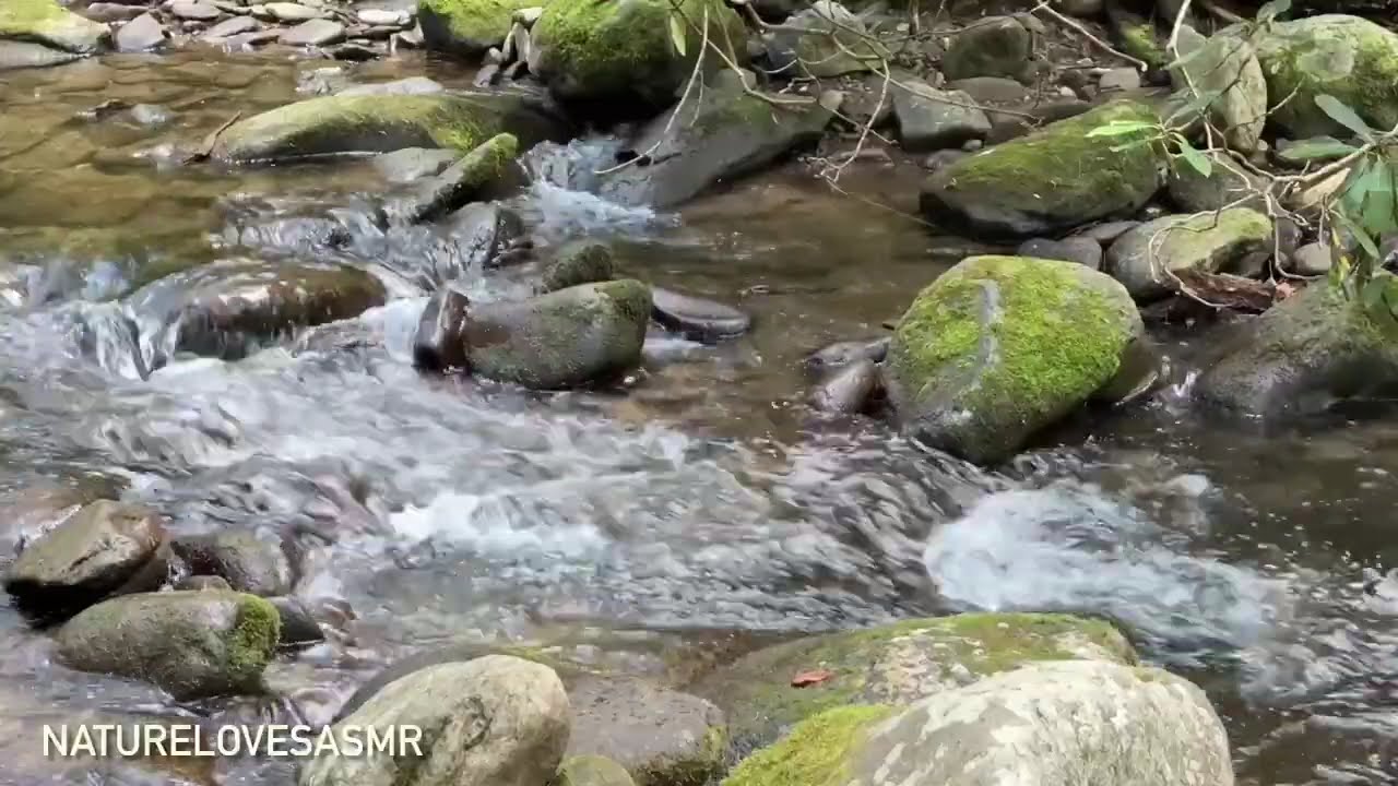 12 Hours Sleep Waterfall Sounds | Great Smoky Mountains National Park ASMR